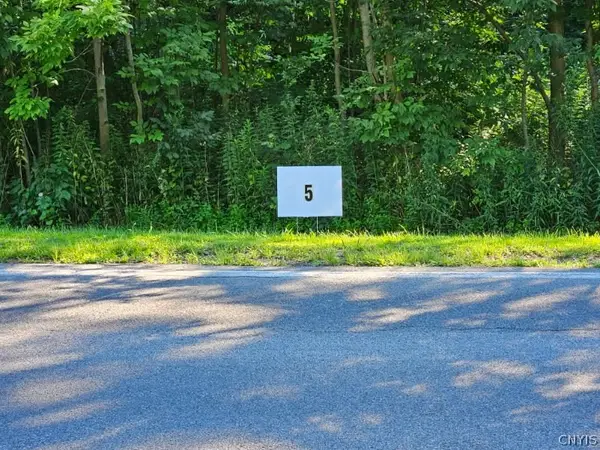 Lot 5 Rt 58, Mexico, NY 13114
