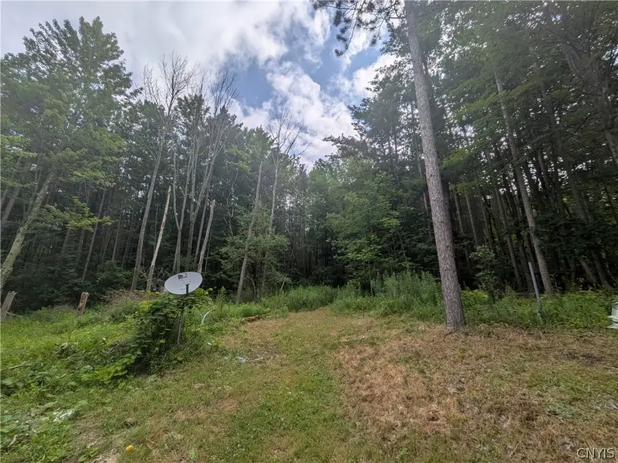 128 Seely Hill Road, Newfield, NY 14867 - #3