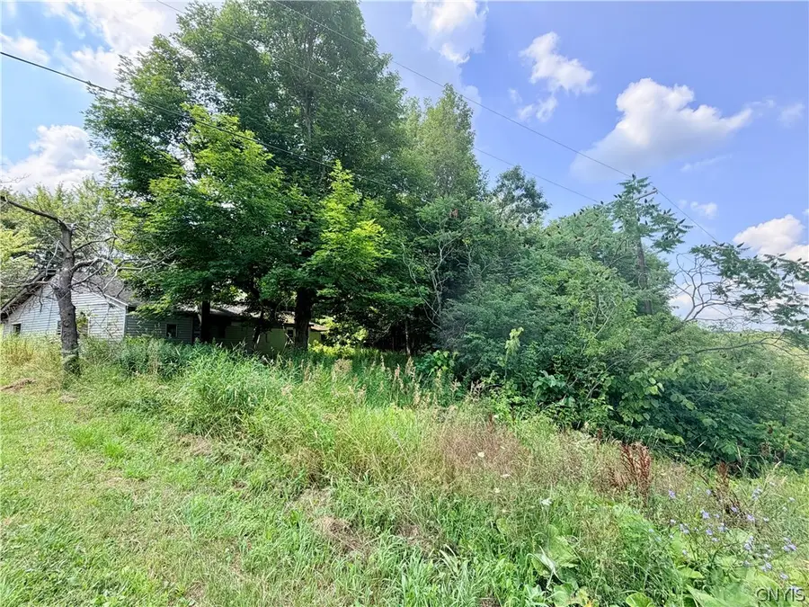 32420 Carpenter Road, Redwood, NY 13679 - #3