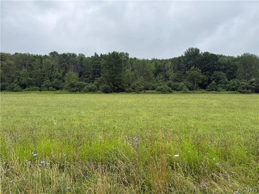 00 County Route 91, Pierrepont Manor, NY 13636 - #3