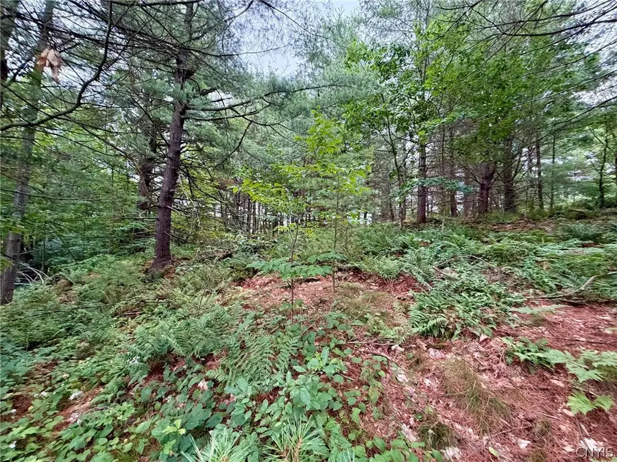 Hammond Road, Hammond, NY 13646 - #3