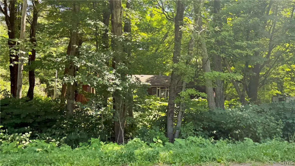 3390 Mcconnellsville Road, Blossvale, NY 13308 - #1