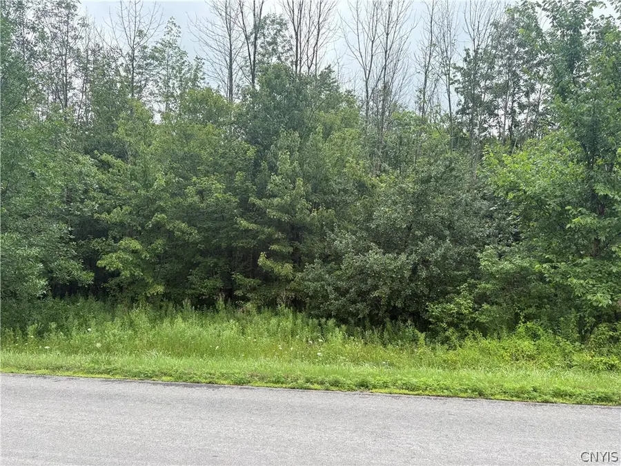 Red School House Road, Fulton, NY 13069 - #3