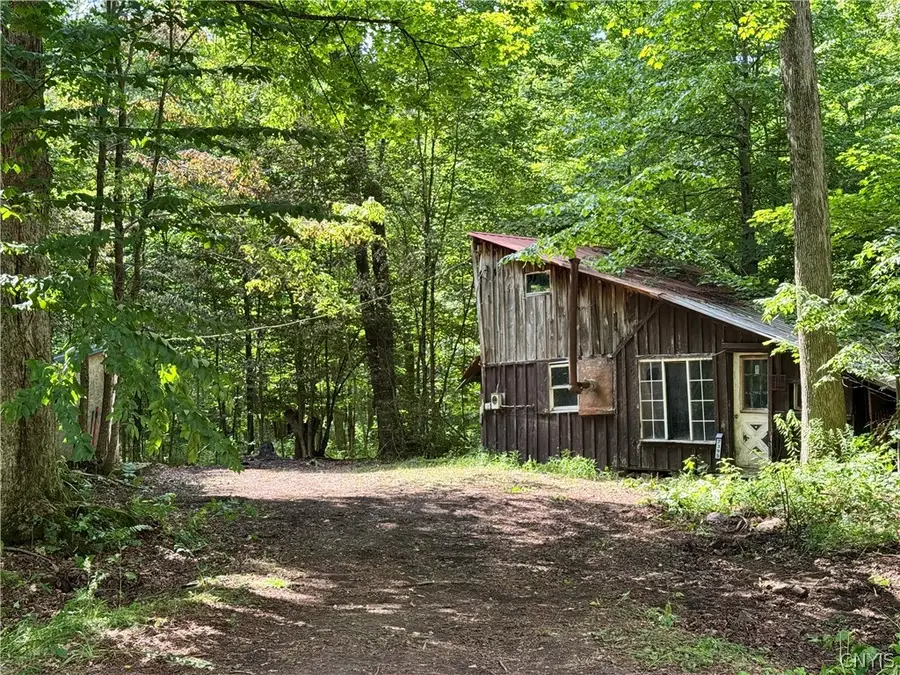 2395 Deerheart Road, Camden, NY 13316 - #3