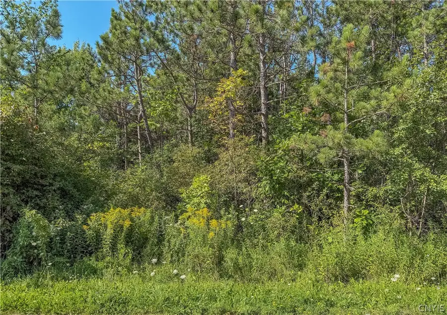 Hayloft Trl, Redfield, NY 13493 - #3