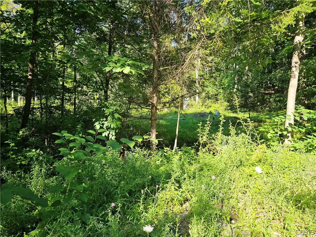 Stables Road, Fenner, NY 13035 - #1