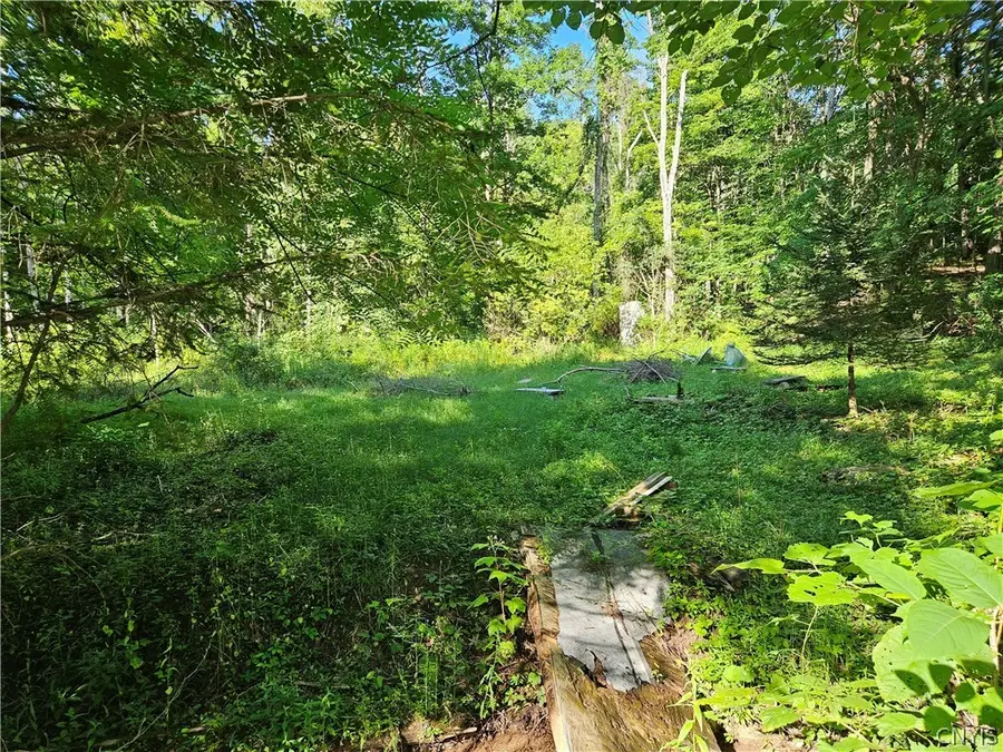 Stables Road, Fenner, NY 13035 - #2