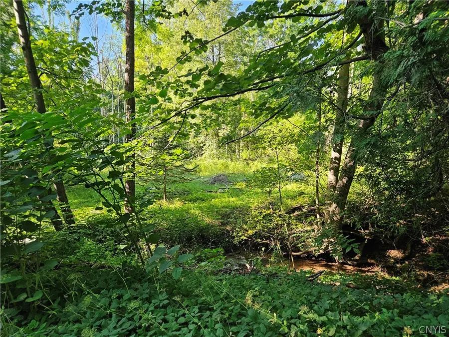 Stables Road, Fenner, NY 13035 - #3