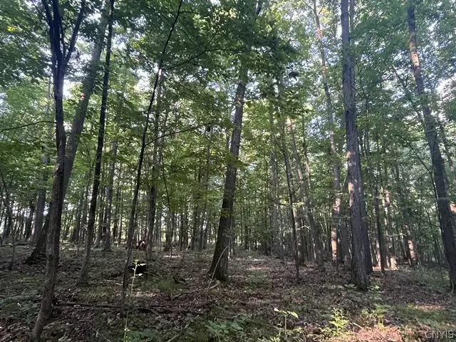 Rt-408, Nunda, NY 14517 - #3
