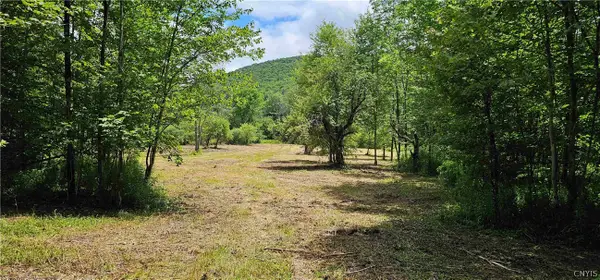 1233 State Route 221, Marathon, NY 13803