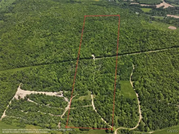 River Road, Belmont, NY 14813