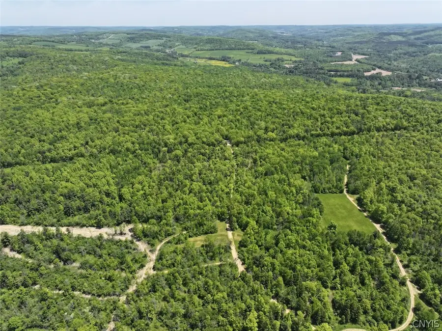 River Road, Belmont, NY 14813 - #2