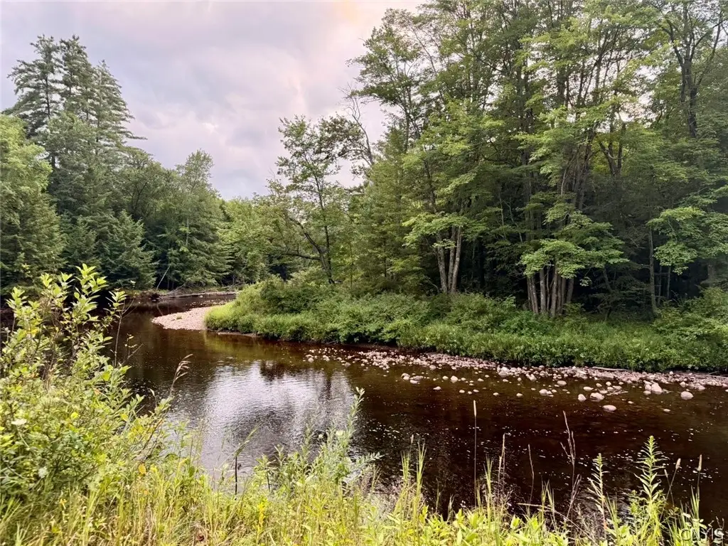 Donnattsburg Road, Greig, NY 13345 - #1
