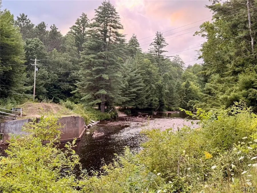 Donnattsburg Road, Greig, NY 13345 - #2
