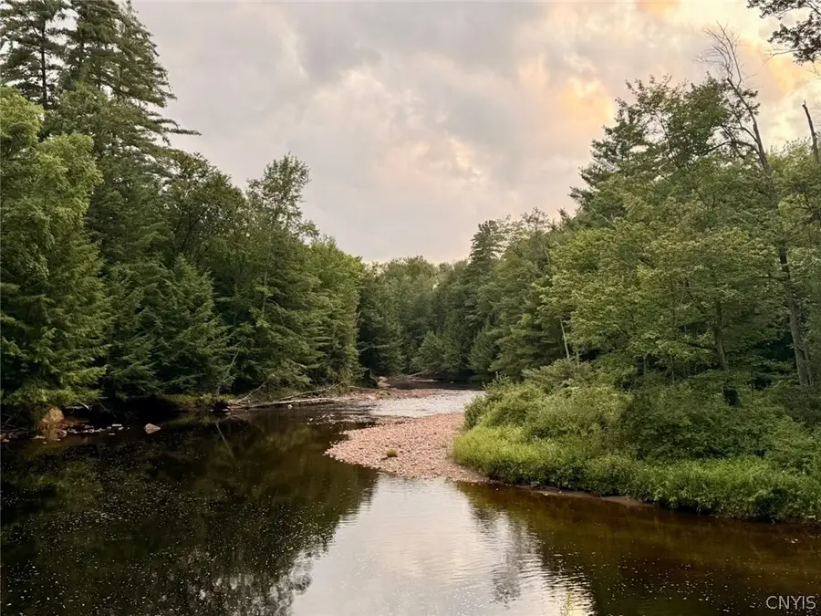 Donnattsburg Road, Greig, NY 13345 - #3
