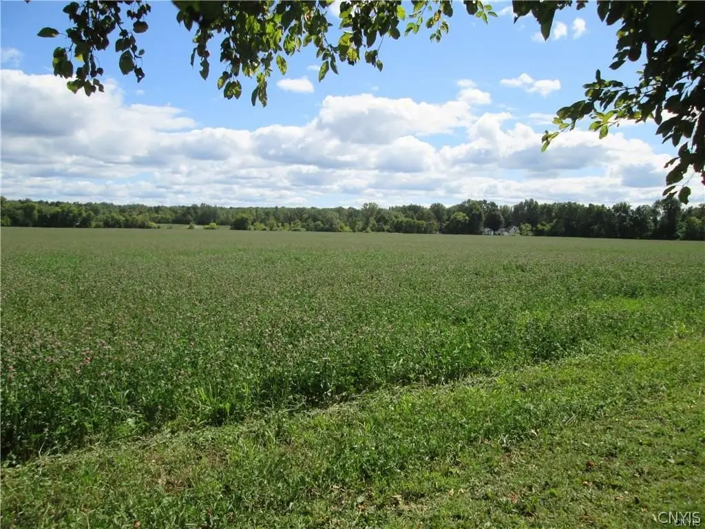 Westmoreland Road, Whitesboro, NY 13492 - #1