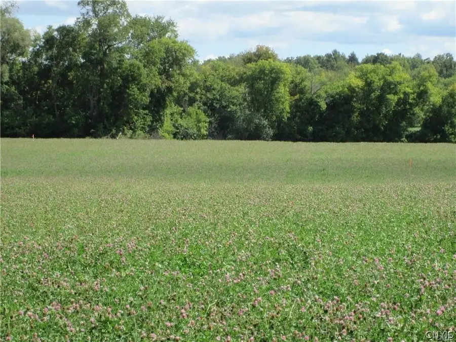 Westmoreland Road, Whitesboro, NY 13492 - #3