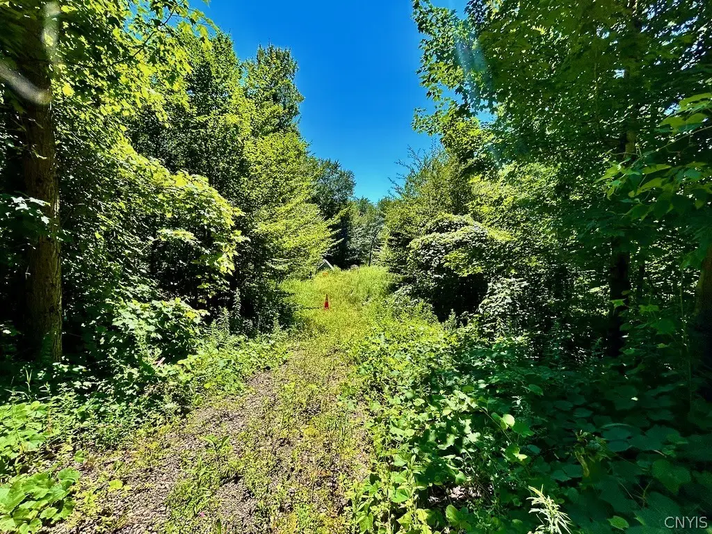 0 Hillsborough Road, Camden, NY 13316 - #1