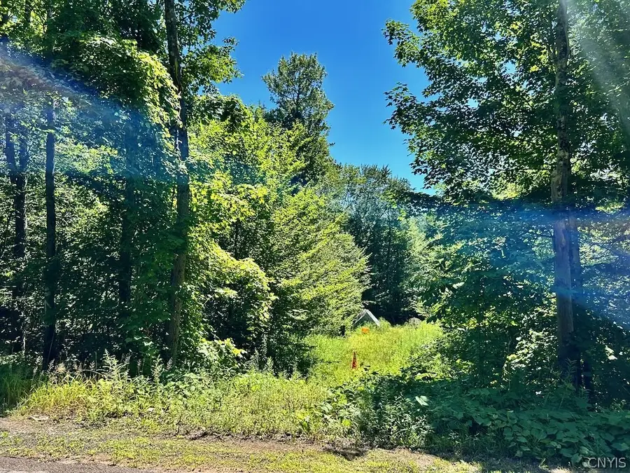 0 Hillsborough Road, Camden, NY 13316 - #3
