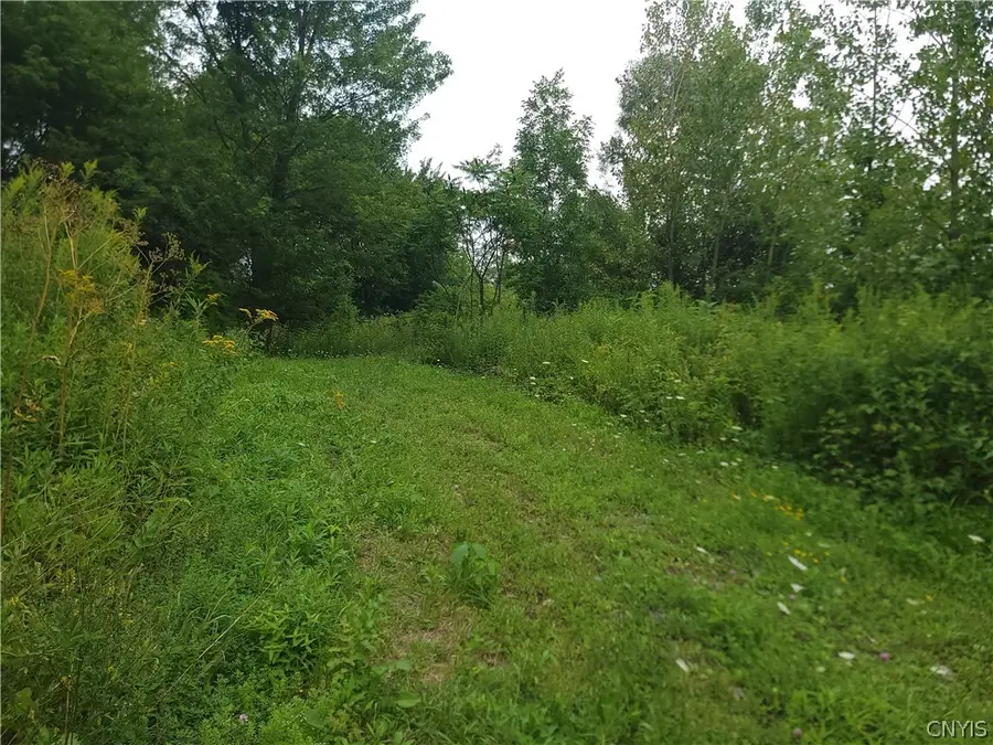 0 Vedder Road, Saint Johnsville, NY 13452 - #2