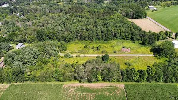 Ferguson Road, Dryden, NY 13053