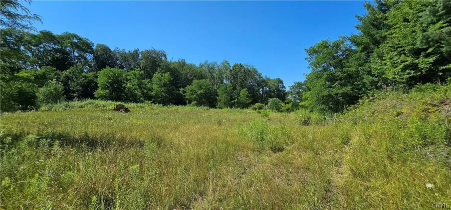 Hilton Road, Dryden, NY 13053 - #3