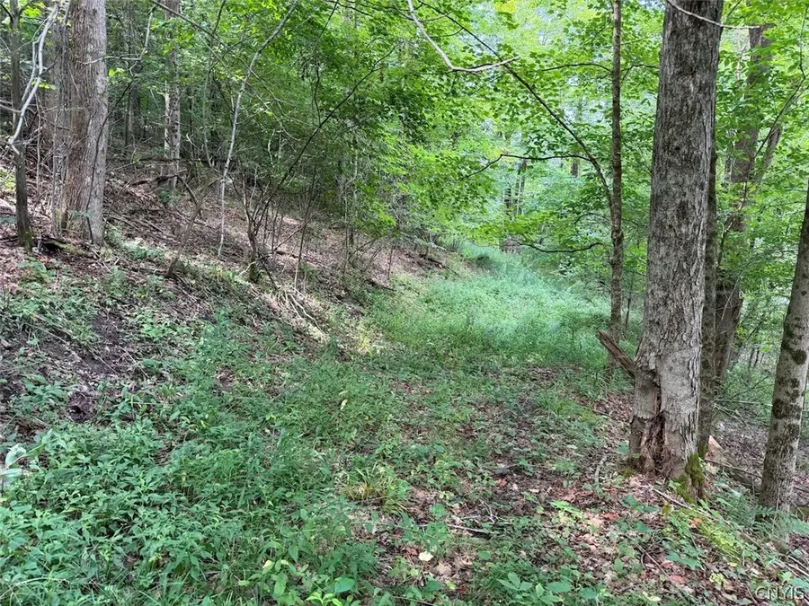 Ny-275, Bolivar, NY 14715 - #2