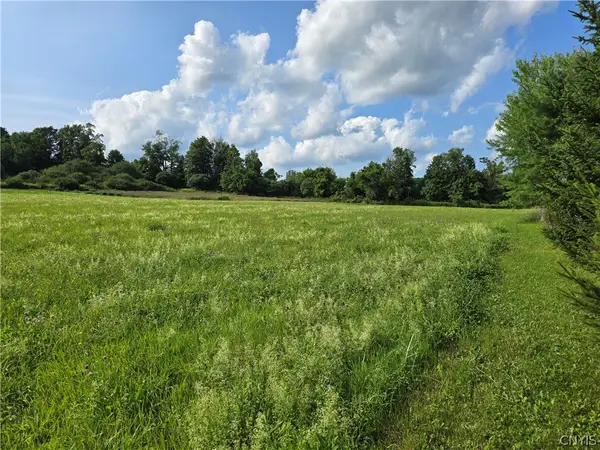 Berry Road, La Fayette, NY 13084