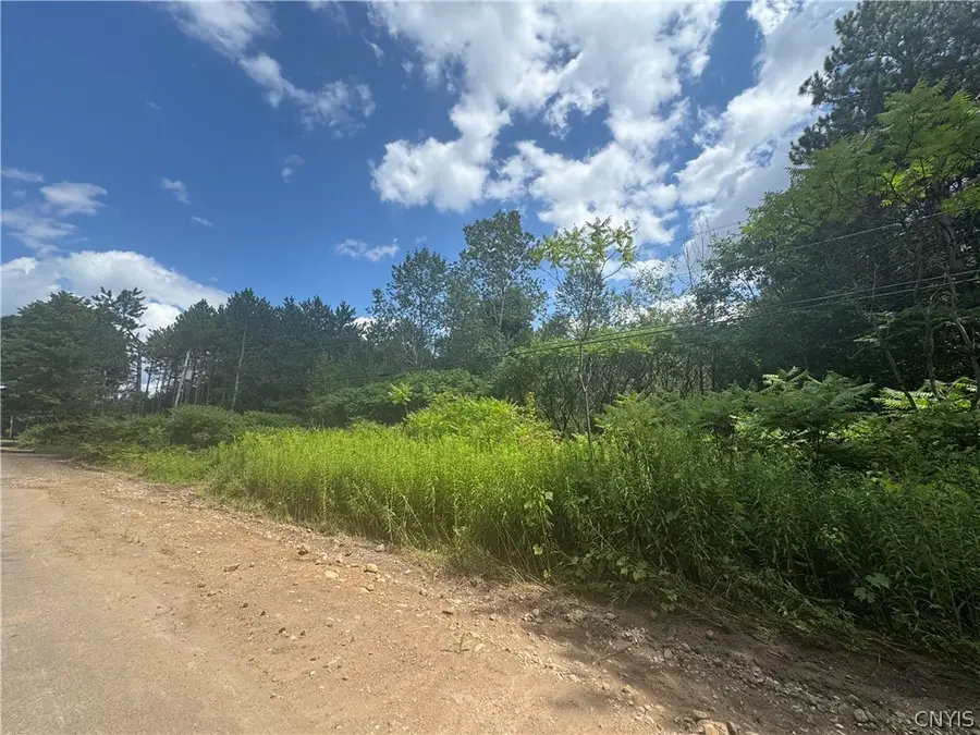 Arnoldville Road, Natural Bridge, NY 13665 - #2