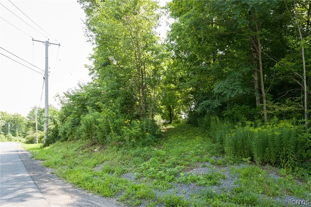 Depot Street, Natural Bridge, NY 13665 - #1