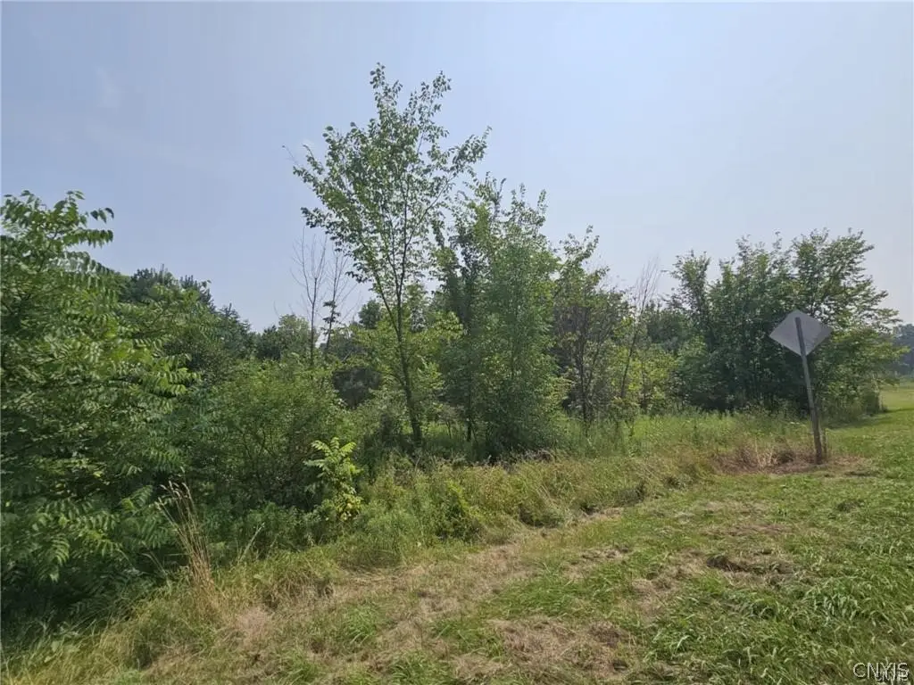 County Route 37, West Monroe, NY 13167 - #1