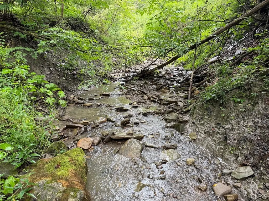 Creek Road, Sardinia, NY 14134 - #1