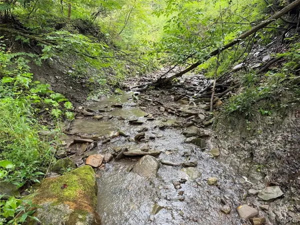 Creek Road, Sardinia, NY 14134