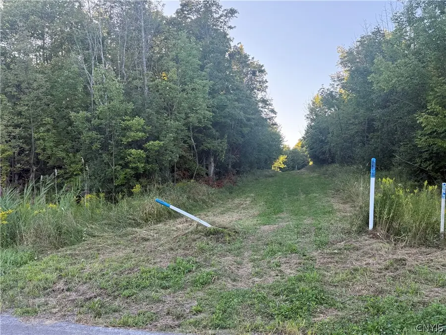 6652 Buckland Drive, Marcy, NY 13403 - #2