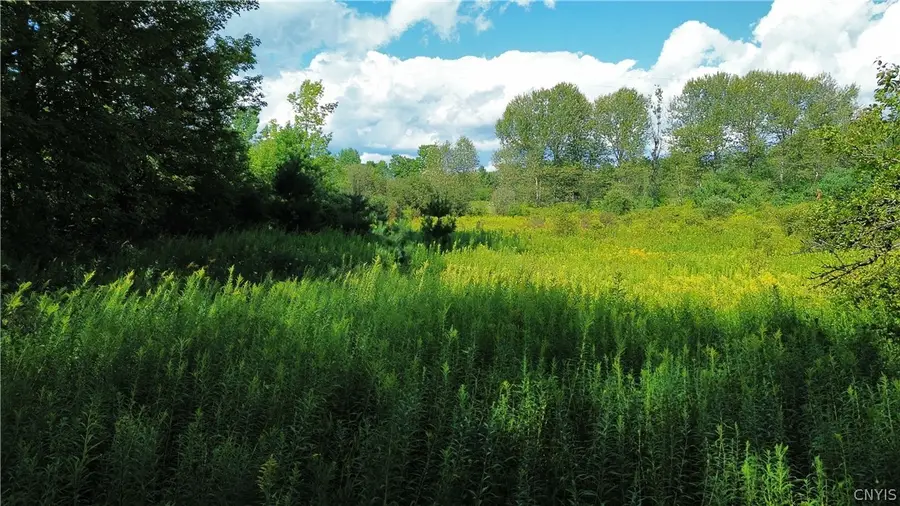 Lot 19 Tiedman Road, Dolgeville, NY 13407 - #2