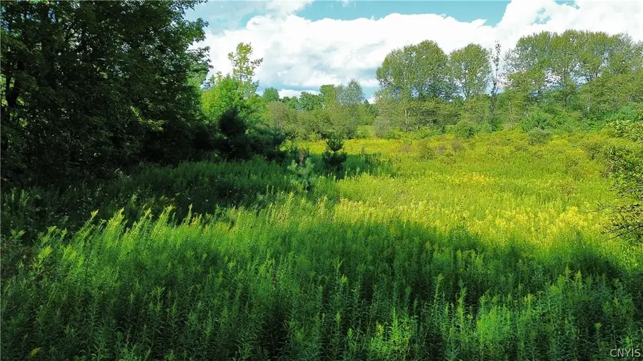 Lot 19 Tiedman Road, Dolgeville, NY 13407 - #3