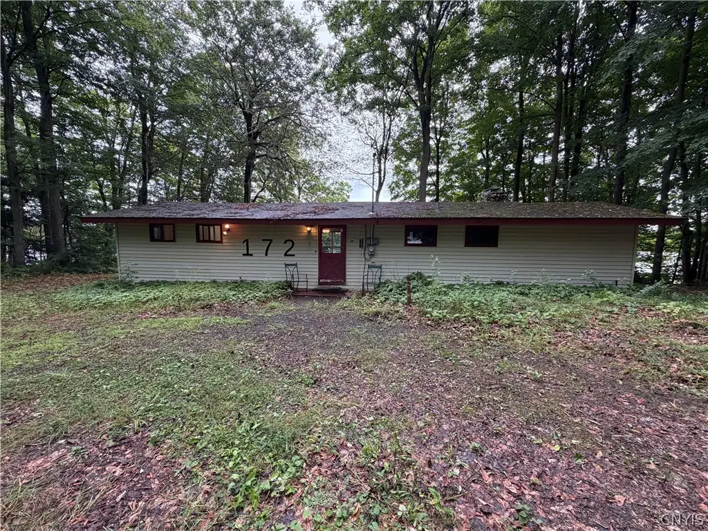 172 Lazzaro Lane, Oswego, NY 13126 - #1