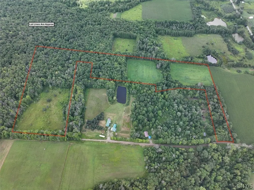 Clark Road, Franklinville, NY 14737 - #1