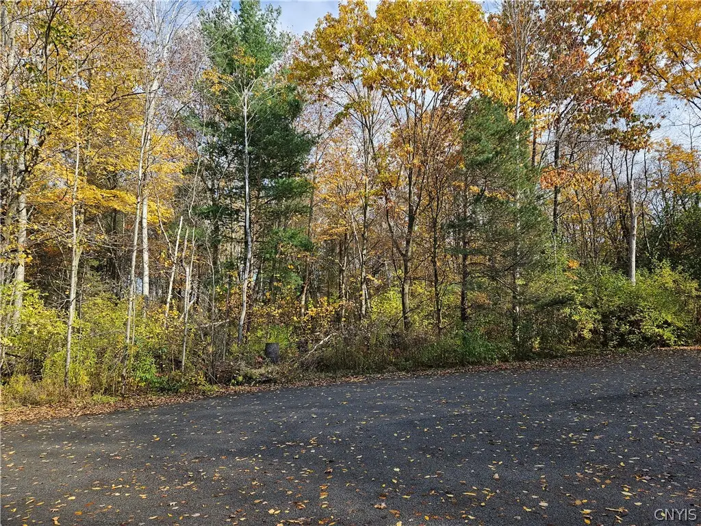 Birch Lane, Clayton, NY 13624 - #1