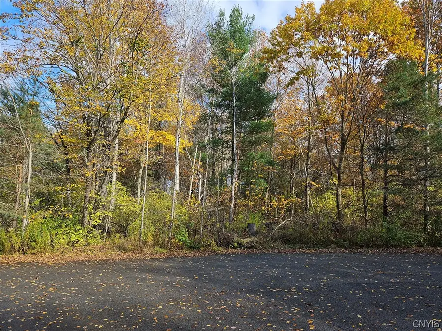 Birch Lane, Clayton, NY 13624 - #2
