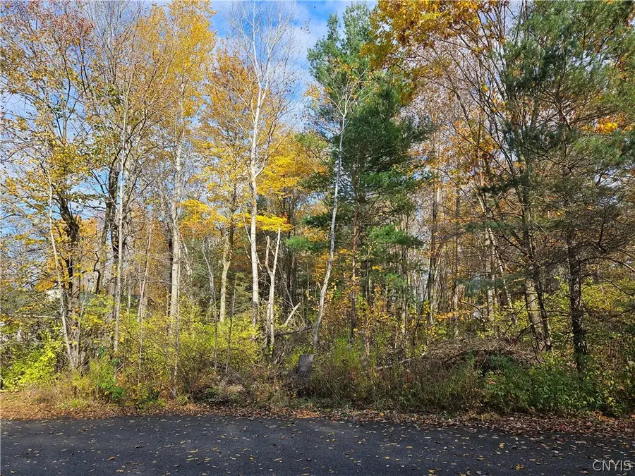 Birch Lane, Clayton, NY 13624 - #3