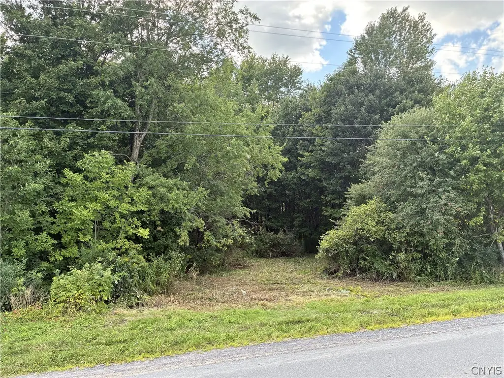 Lot 5 4457 East Road, Turin, NY 13473 - #1