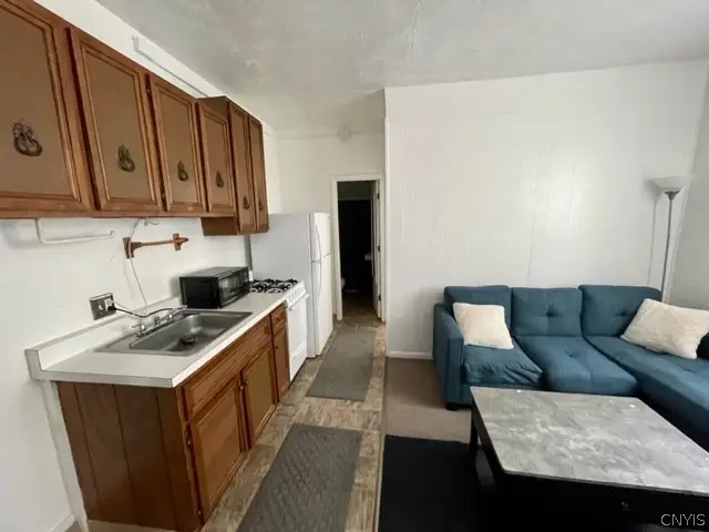 423 Euclid Avenue, Syracuse, NY 13210 - #3