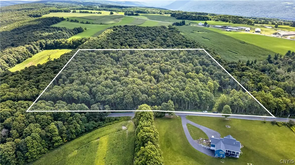 Stanton Road #1, Skaneateles, NY 13152 - #1