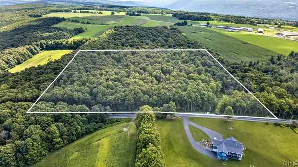 Stanton Road #1, Skaneateles, NY 13152