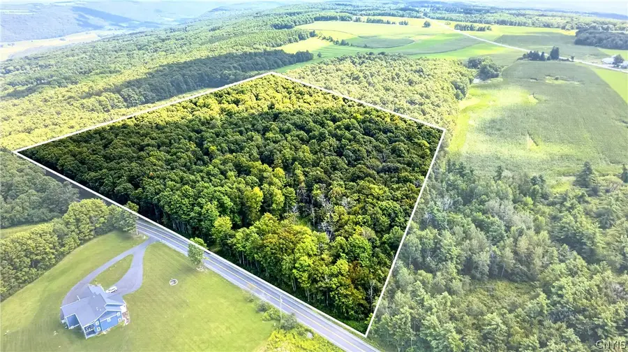 Stanton Road #1, Skaneateles, NY 13152 - #2
