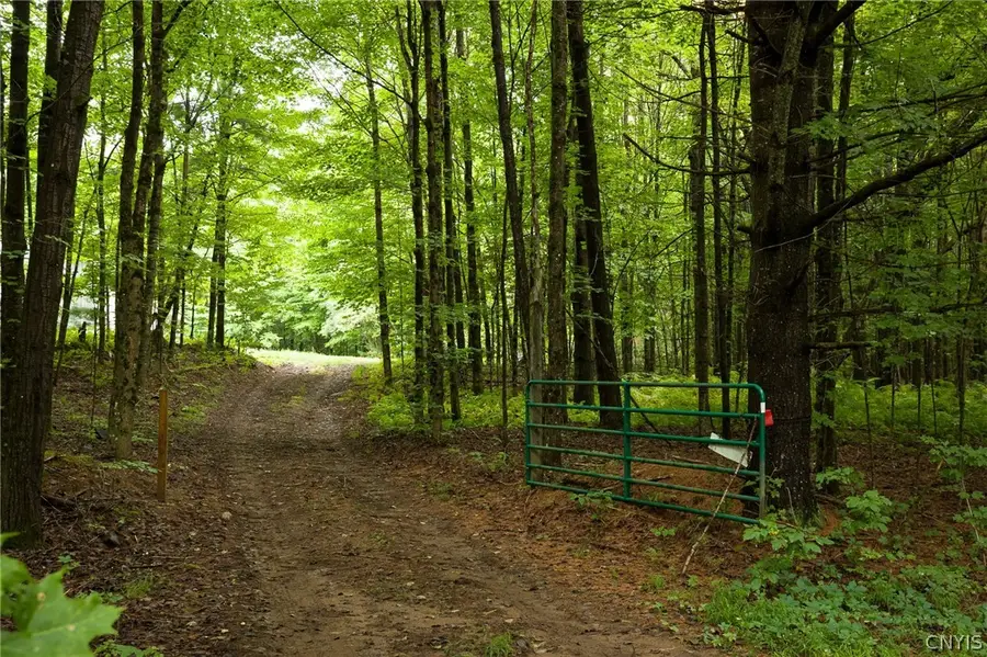 12086 Beartown Road, Croghan, NY 13327 - #2