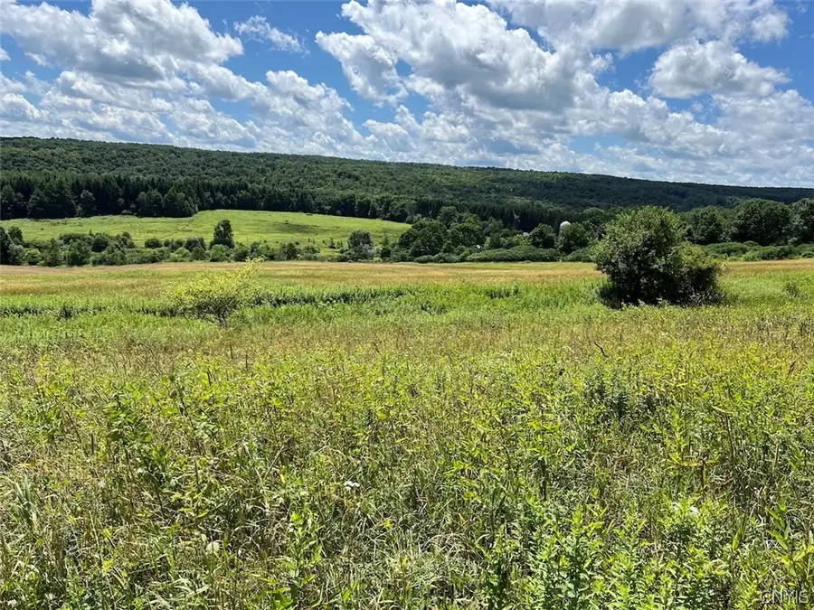 Bates Road, Sinclairville, NY 14782 - #3
