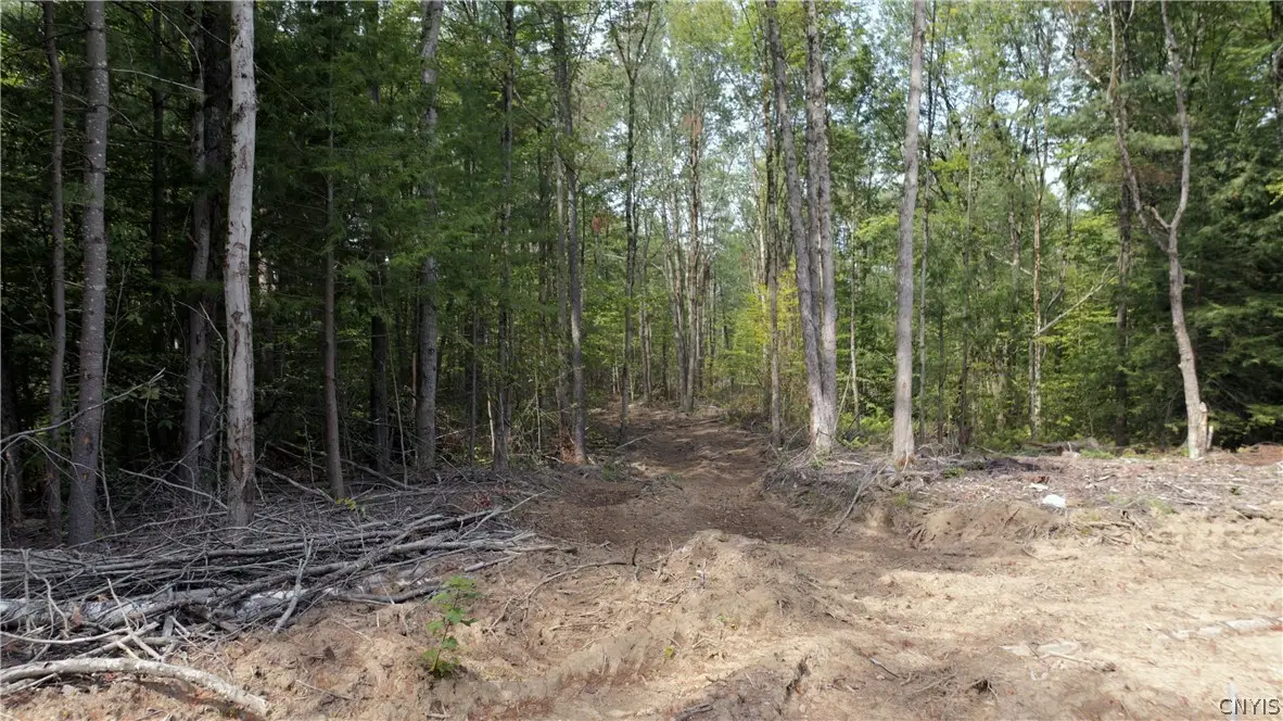10133 Penfield Road, Camden, NY 13316 - #1