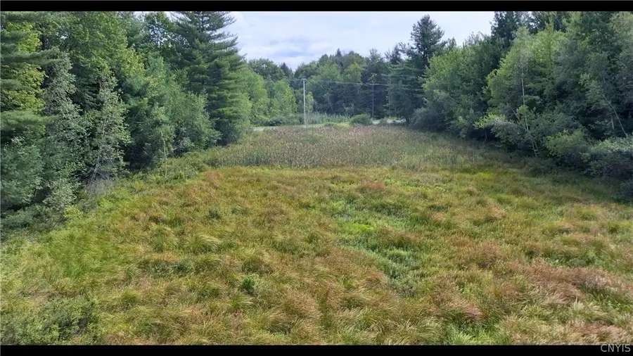 10133 Penfield Road, Camden, NY 13316 - #3
